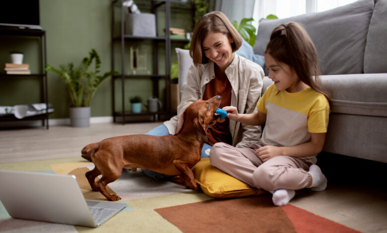 pets for homes
