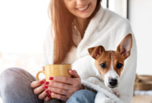 Can dogs have cinnamon?