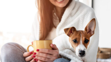 Can dogs have cinnamon?