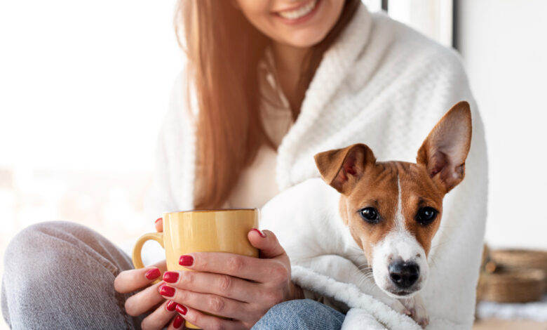 Can dogs have cinnamon?