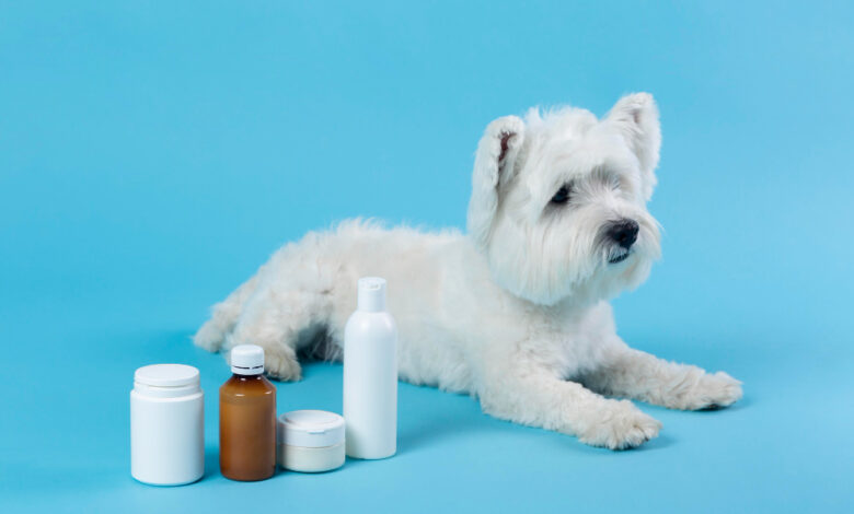 can dogs have Tylenol