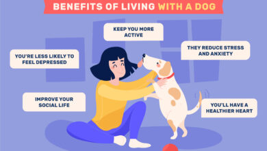 pet care advice