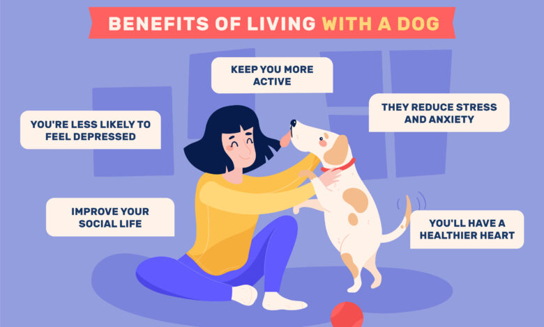 pet care advice