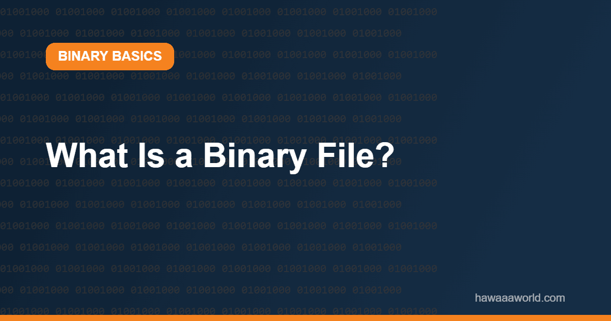 What Is a Binary File?